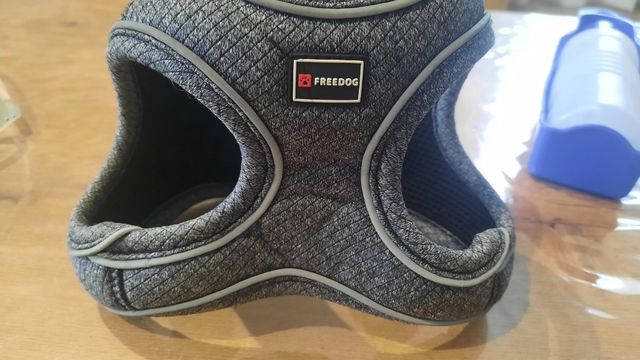 Arnes perro y complementos