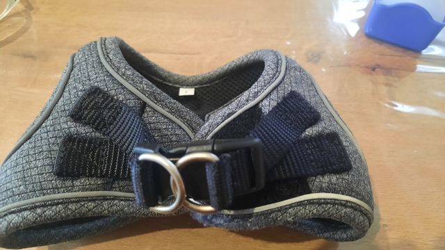 Arnes perro y complementos