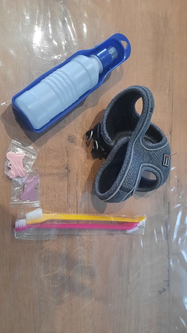Arnes perro y complementos