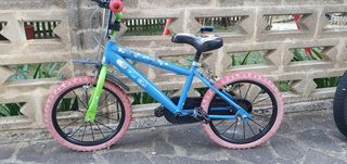 Bicicletta da Bambino