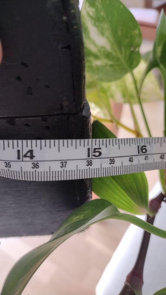 Baúl arcón madera vintage