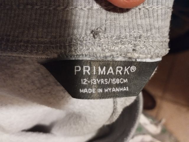 Lote pantalon chandal