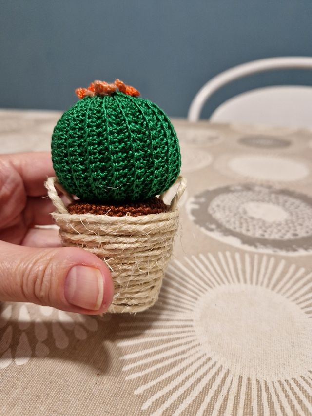 Piantina grassa in vasetto