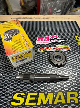 Desarrollo Primario MALOSSI Derbi Atlantis NUEVO