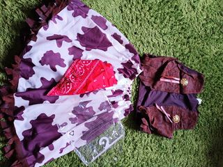 Disfraz /Chaleco separado de la falda