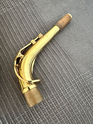 Saxo Alto Yanagisawa W01