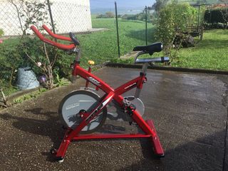 Bicicleta de spining alta gama