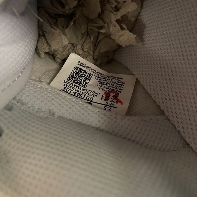 Nike dunk low photom dust