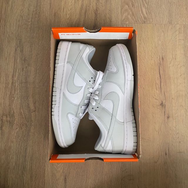 Nike dunk low photom dust