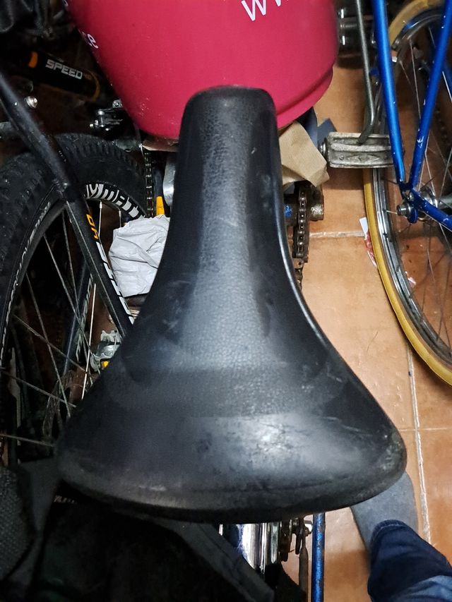  Sillin bici antigua Selle Royale sin tija