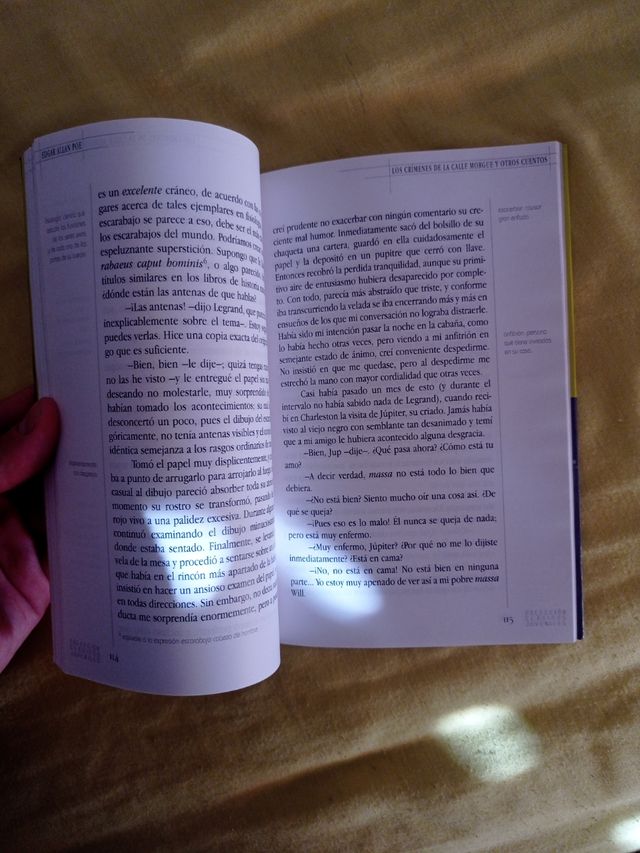 "Crímenes en la calle morgue y otros cuentos".