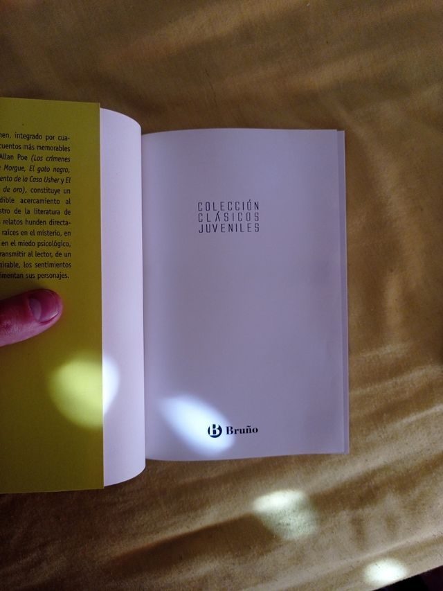 "Crímenes en la calle morgue y otros cuentos".