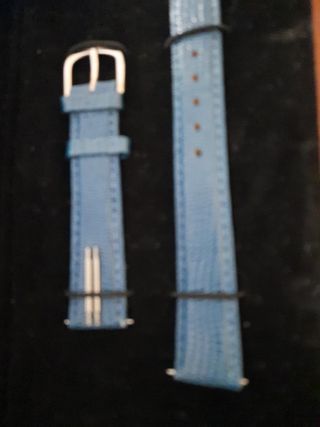 Correa reloj de pulsera