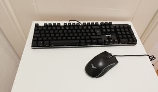 Teclado y ratón gamer
