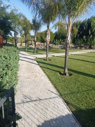 Jardinero profesional y económico