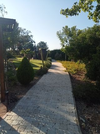 Jardinero profesional y económico