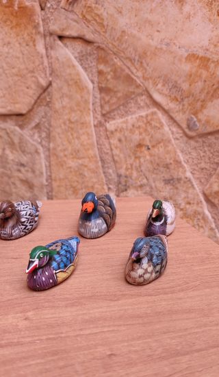 Collezione di 10 anatre piccole