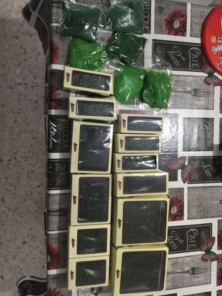 maqueta tren electrico