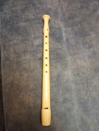 Flauta Hohner
