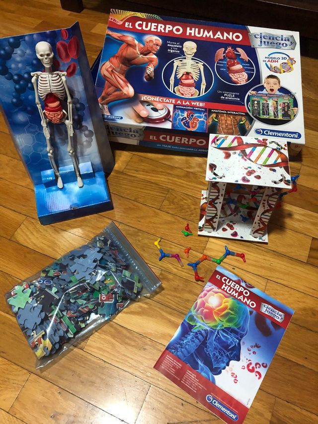 JUEGO EDUCATIVO EL CUERPO HUMANO