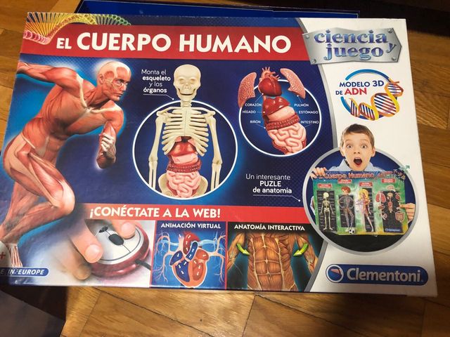 JUEGO EDUCATIVO EL CUERPO HUMANO