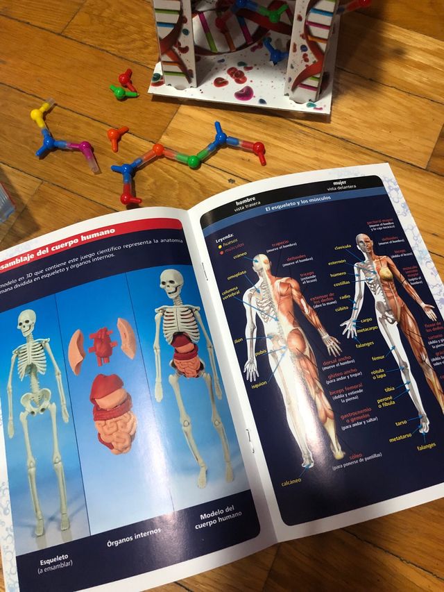 JUEGO EDUCATIVO EL CUERPO HUMANO