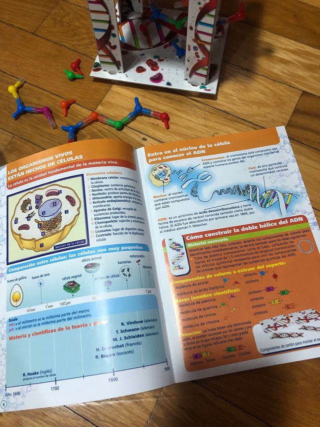 JUEGO EDUCATIVO EL CUERPO HUMANO