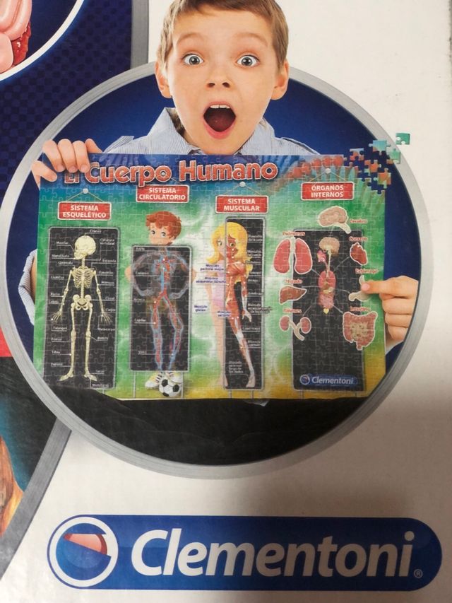 JUEGO EDUCATIVO EL CUERPO HUMANO