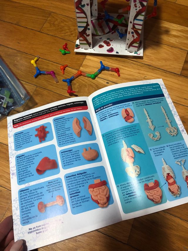 JUEGO EDUCATIVO EL CUERPO HUMANO