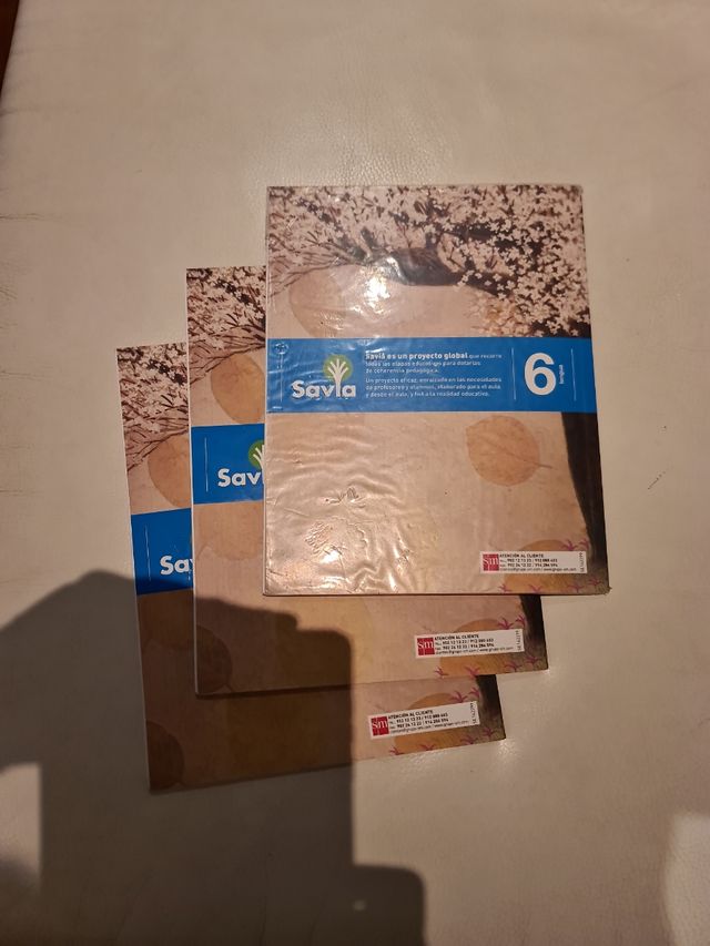 Lengua 6° primaria SM