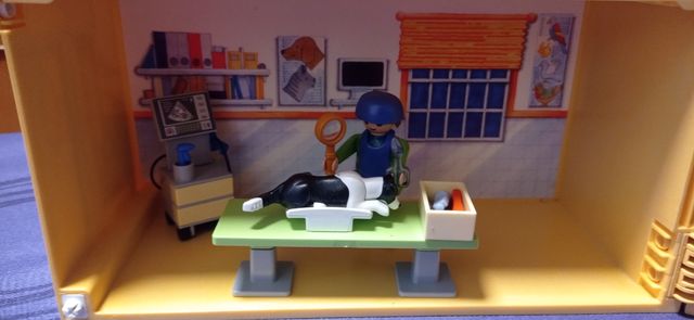 Palymobil-Clinica veterinaria-