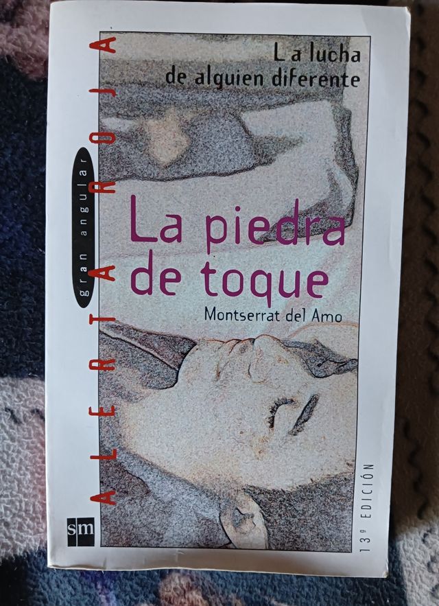 Libro La piedra de toque