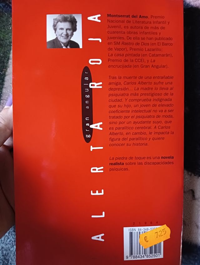Libro La piedra de toque