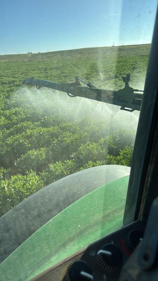 Busco trabajo de TRACTORISTA