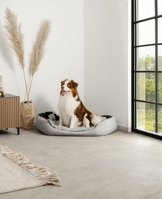 💥49€/29€ Cesta /cama de perro nueva
