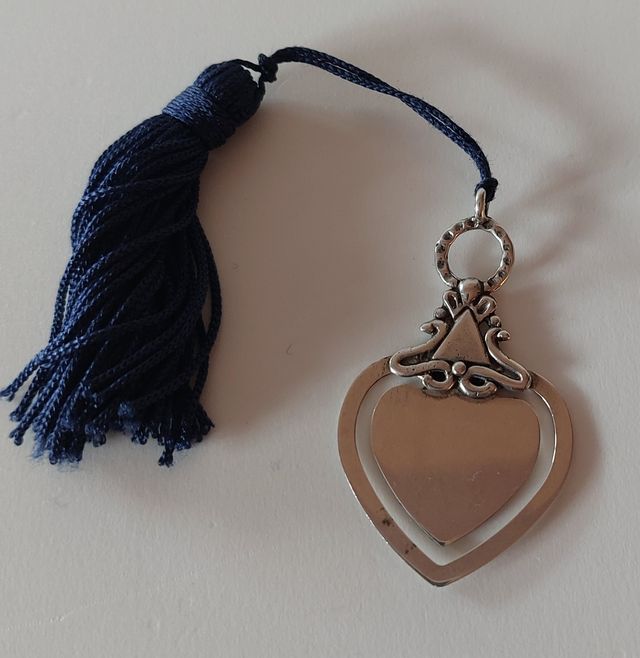 Punto de libro plata de Ley