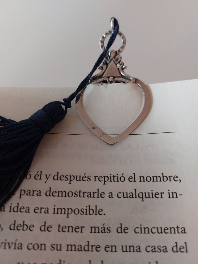 Punto de libro plata de Ley