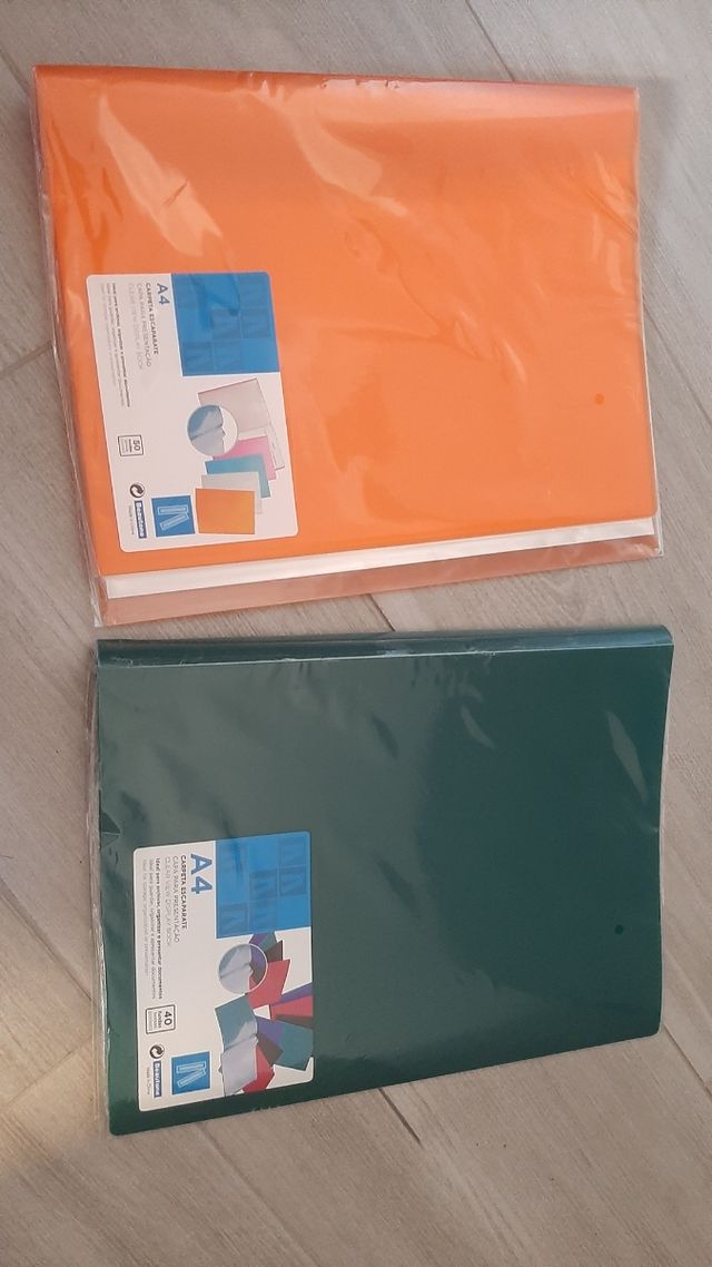 Lote carpetas fundas