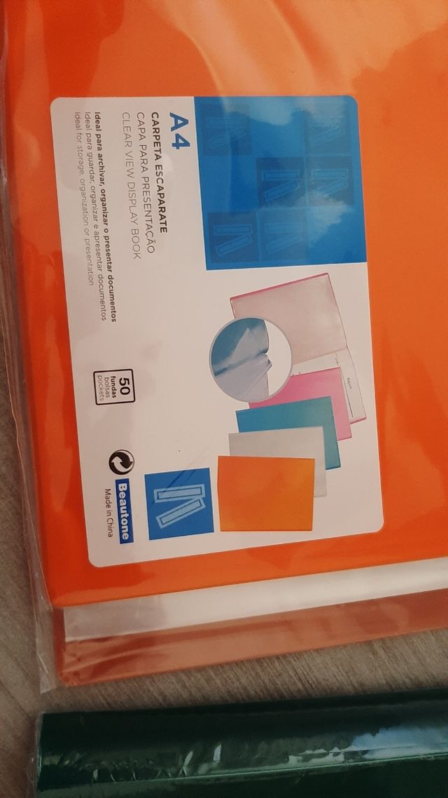 Lote carpetas fundas