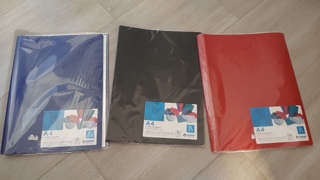 Lote carpetas 40 fundas