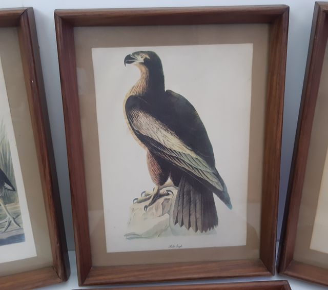 Retro Vintage Antigos 4 Quadros Molduras Madeira