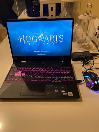  ASUS TUF Gaming F15 FX506LH-HN042