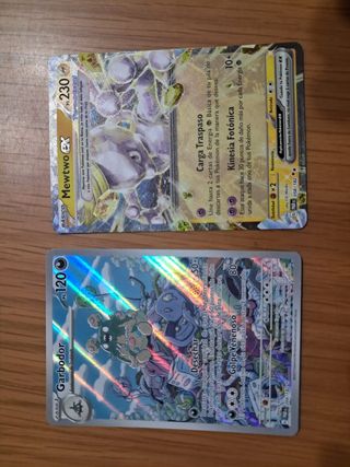Pokémon brecha paradójica