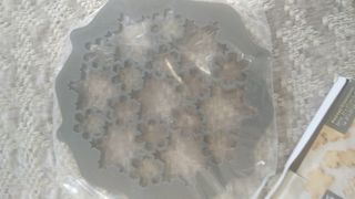 Multimolde cortapastas