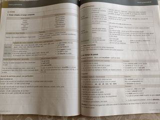 ALTER EGO B2 FRANCAIS