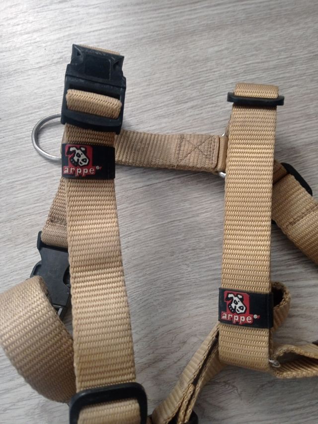Arnés para perros arpe