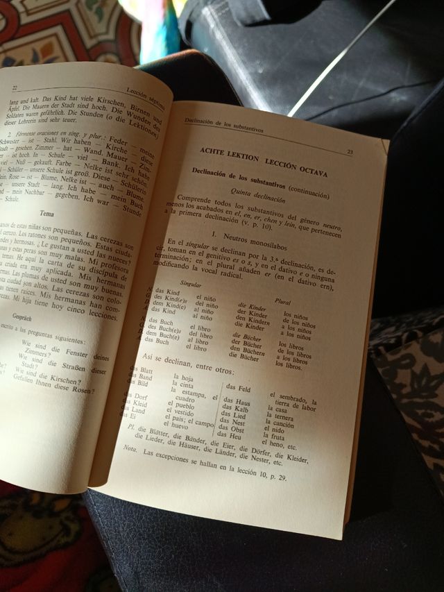 Gramática succinata de la lengua alemana