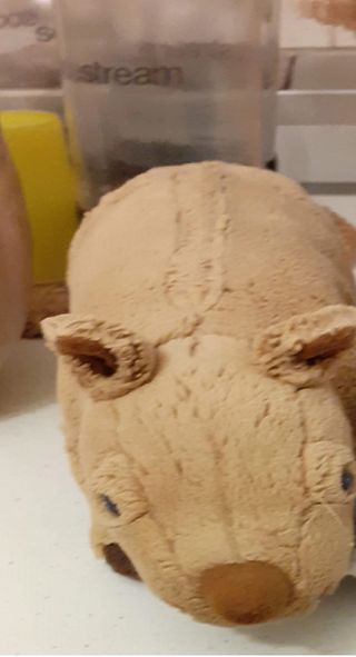 peluche a forma animale