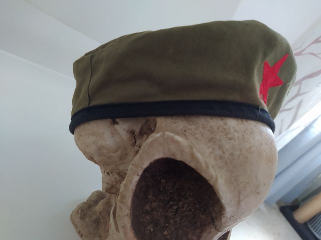 Calavera tamaño real craneo