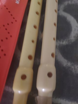 2 flautas Hohner